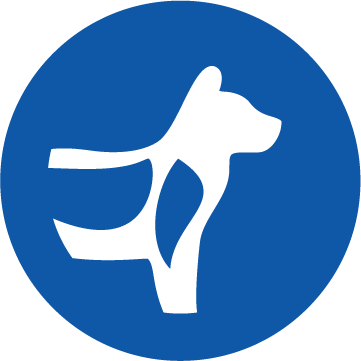 Pictogramă susținerea oaselor și articulațiilor