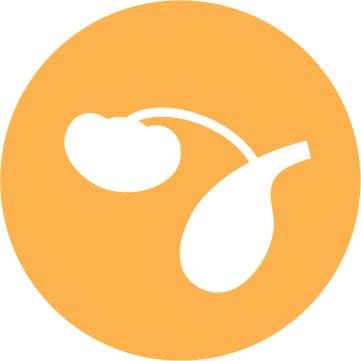 Pictogramă sănătate urinară